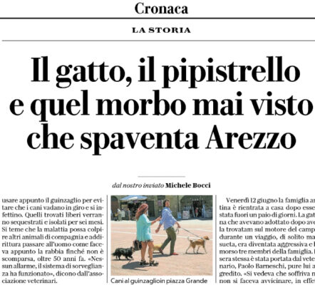 Repubblica