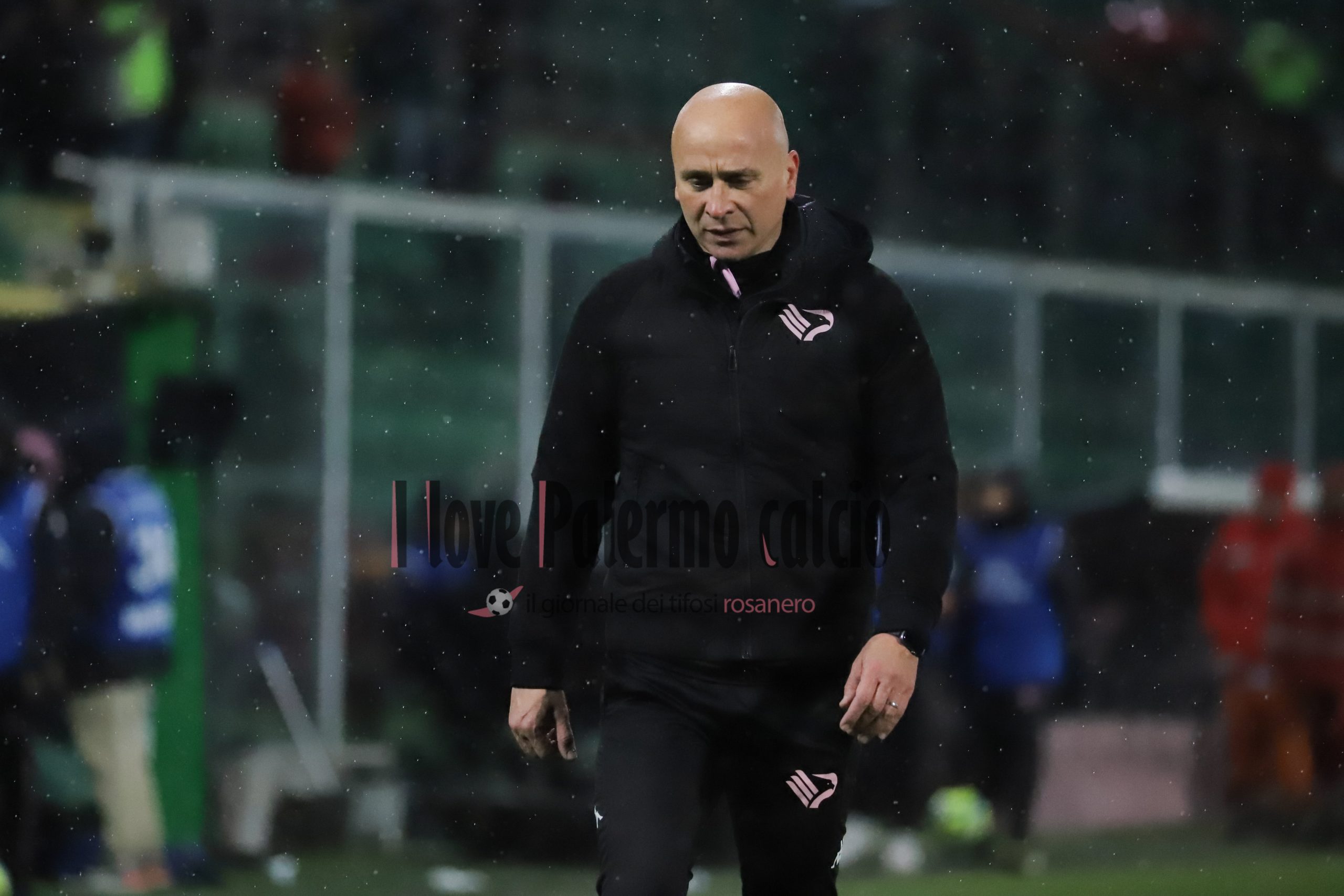 Gds: "Palermo, Due Turni Di Squalifica A Corini: Possibile Ricorso ...