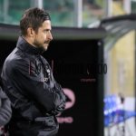 Palermo verso il Modena: domani Dionisi in sala stampa